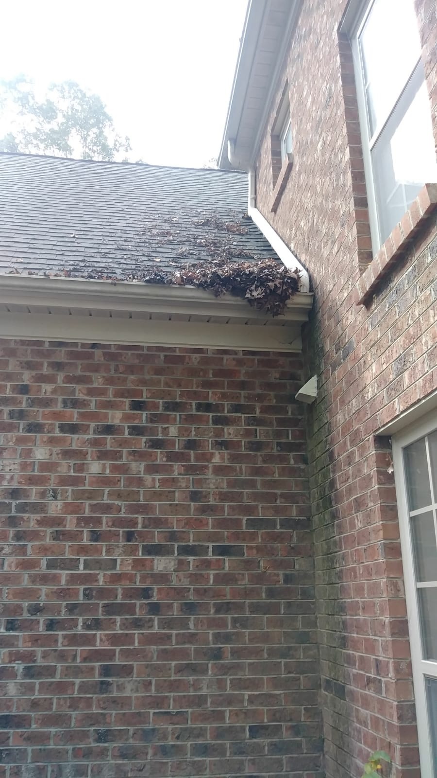 Clean Pro Gutter Cleaning Cary Image